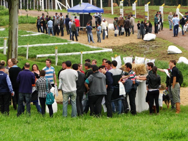 DSC09558 JORNAL